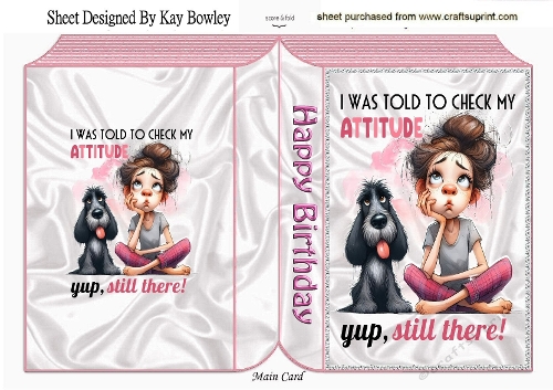 Women With Attitude Folded Book (PINK) Three