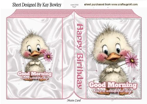 Cute Little Chick Folded Pink Book (ONE)