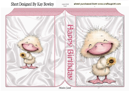 Cute Little Chick Folded Pink Book (TWO)