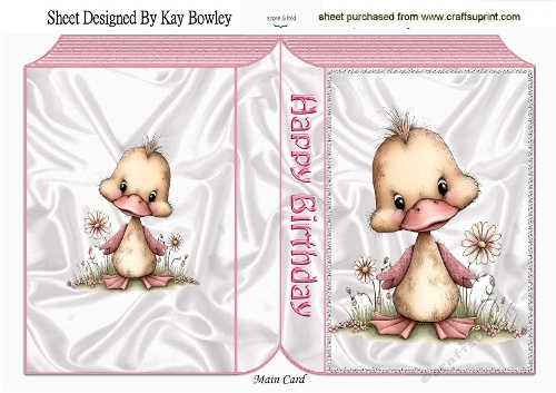Cute Little Chick Folded Pink Book (FOUR)