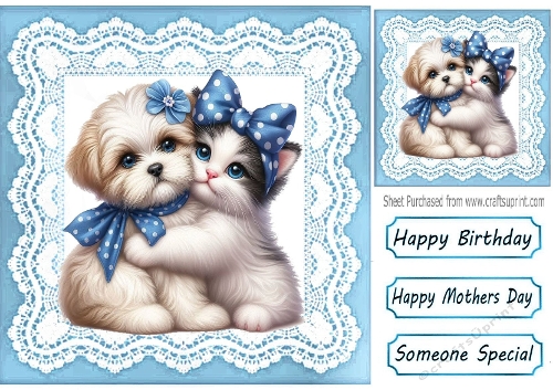 Cute Puppy/Kitten Cuddles With Lace 8X8 Blue