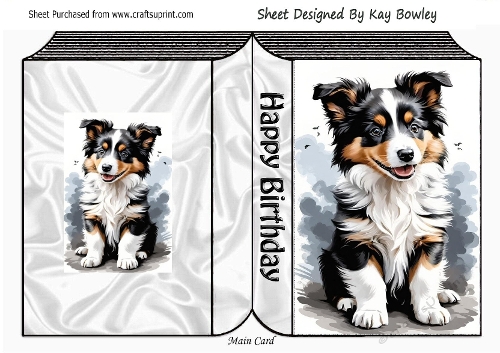 Lovely Black/White Border Collie  Puppy Folded Book