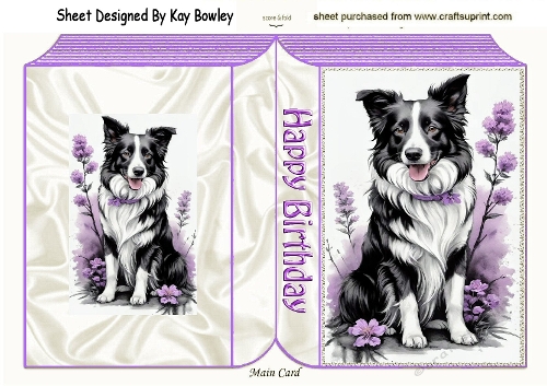 Lovely Black/White Border Collie  Purple Flowers Folded Book