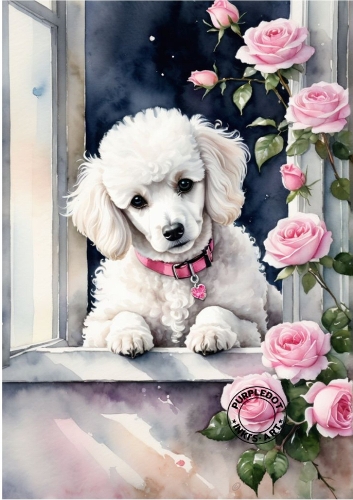 Cute White Puppy With Pink Roses A4