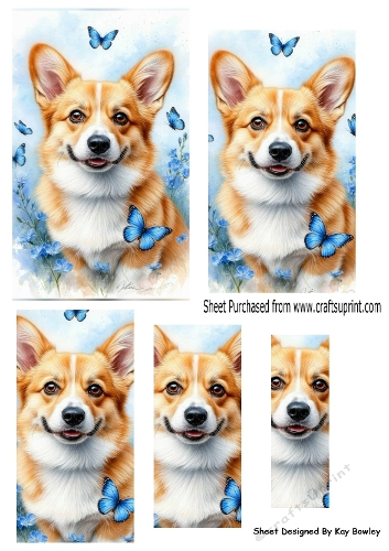 Cute Corgi With Blue Butterflies Pyramids