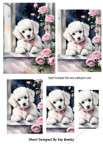 Cute White Puppy With Pink Roses Pyramids