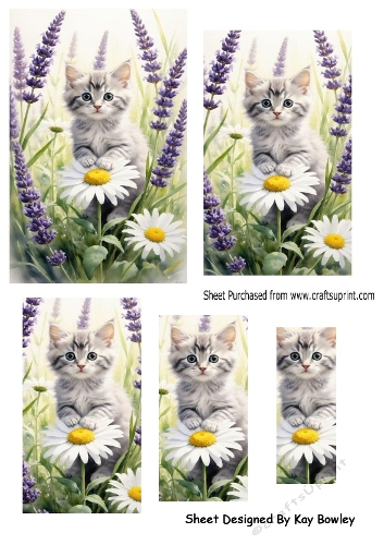 Cute Grey Kitten With Bluebells Pyramids