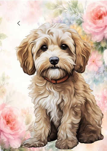 Cute Brown Teddy Puppy In Flower Frame A4