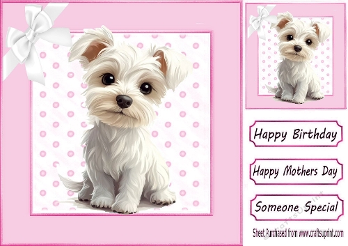 Cute White Westie Puppy With Pink Polkadot & Bow 8x8
