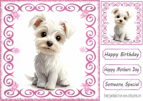 Cute White Westie Puppy With Pink Swirls  8x8