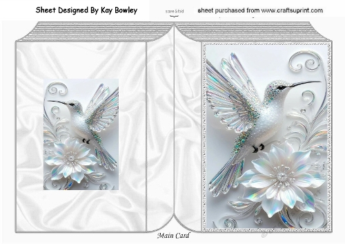  Rainbow Kingfisher With Diamonds & Flowers Silver Folded Book