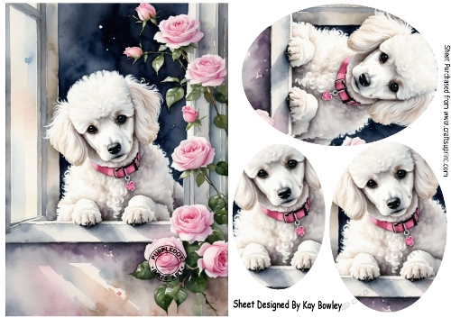 Lovely White Dog With Roses A5, With Oval Pyramids