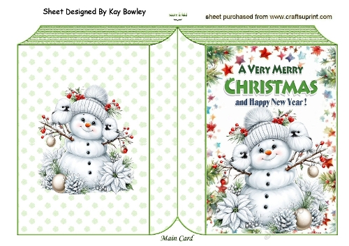 Lovely Snowman With Birds Folded Book (ONE)