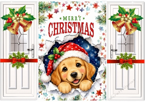 Cute Peek A Boo A Cute Puppy Gatefold (FIVE)