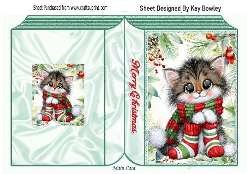 Christmas Folded Book With Kitty (ONE)