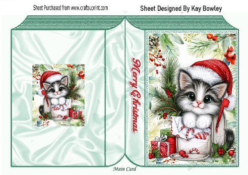 Christmas Folded Book With Santa  Kitty (THREE)