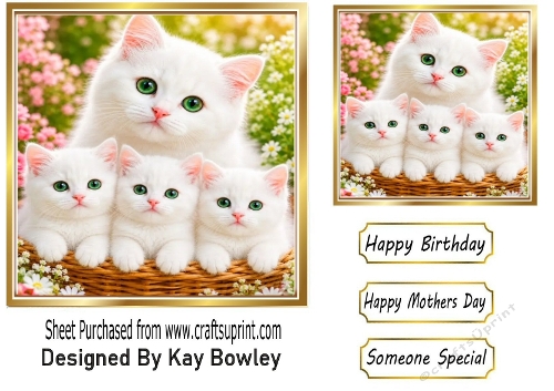  Three Cute White Kittens With Green Eyes & Mum 7x7 