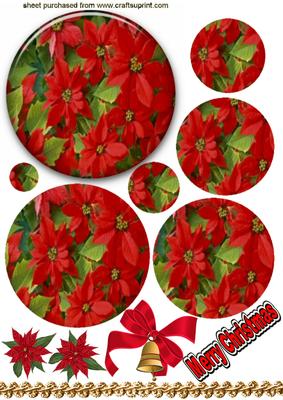 Red Poinsettia in Glass Round Frame, Round Pyramids