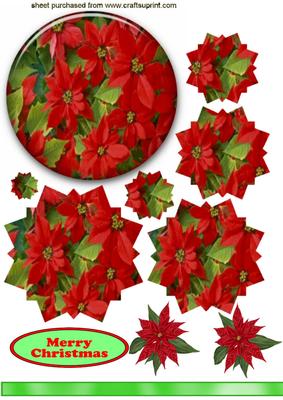 Red Poinsettias in Oval Glass Frame, Star Pyramids