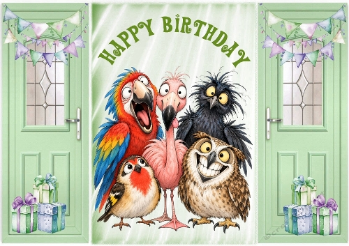 Funny Birds Gatefold For Birthday