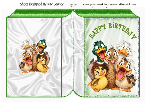 Funny Ducks Green Folded Book For Birthday