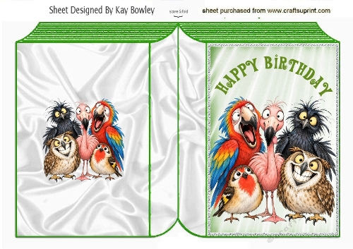 Funny Birds Green Folded Book For Birthday