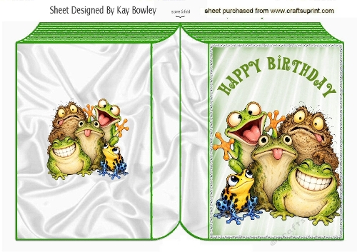 Funny Frogs Green Folded Book For Birthday