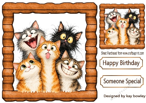 Funny Faces Cats In Wooden Frame 8x8