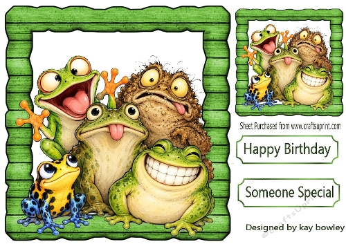 Funny Faces Frogs In Wooden Frame 8x8