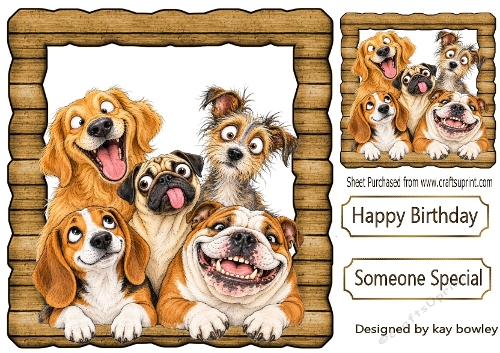 Funny Faces Dogs In Wooden Frame 8x8
