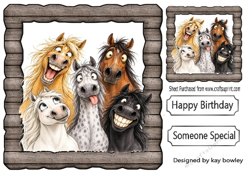 Funny Faces Horses In Wooden Frame 8x8