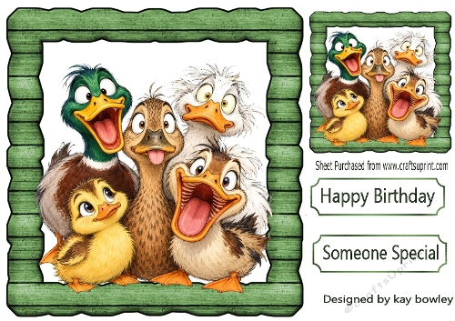 Funny Faces Ducks In Green Wooden Frame 8x8