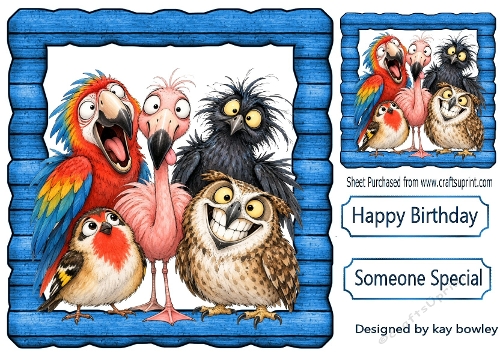 Funny Faces Birds In Blue Wooden Frame 8x8