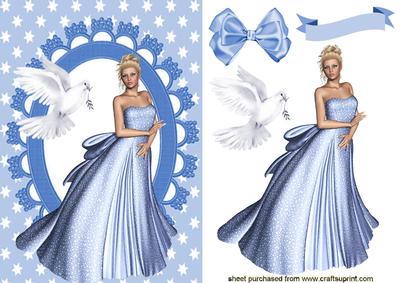 Beautiful Lady in Silver Dress with Dove