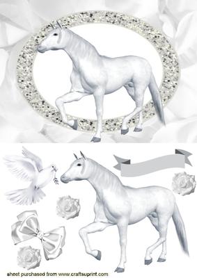 White Horse, White Diamonds