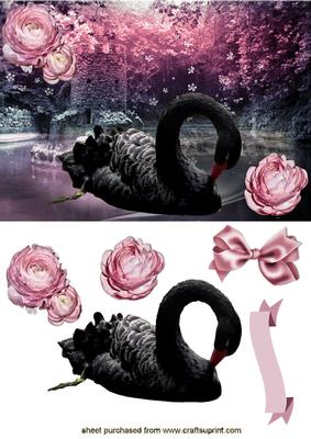 Beautiful Black Swan, with Pink Roses