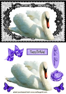 Beautiful White Swan in Lace Frame