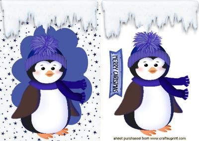 Cute Little Penguin