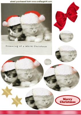 Cute Little Kitties Wearing Santa Hats Oval Pyramids