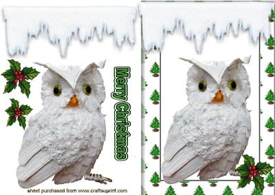 Little Snowy White Owl