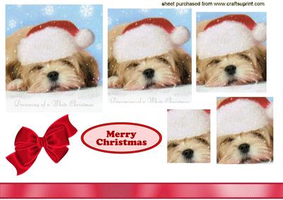 Little Terrier with Santa Hat On, Pyramids