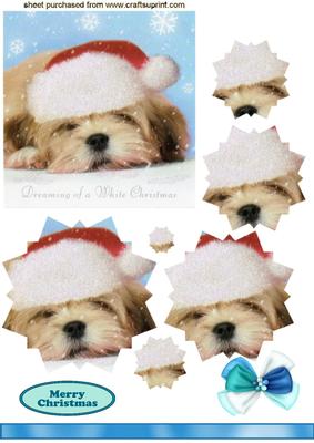 Little Terrier in Santa Hat, Star Pyramids