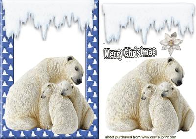 Lovely Polar Bears in Christmas Tree Frame