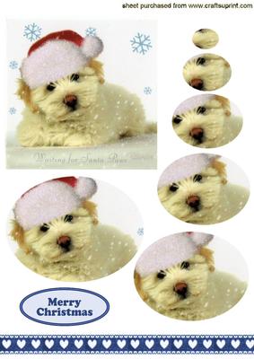 Cute Little Westie with Santa Hat on , Oval Pyramids