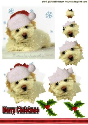 Cute Little Westie with a Santa Hat On, Star Pyramids