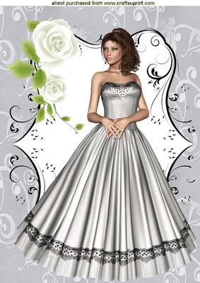 Beautiful Lady in Silver Dres, A4 Topper