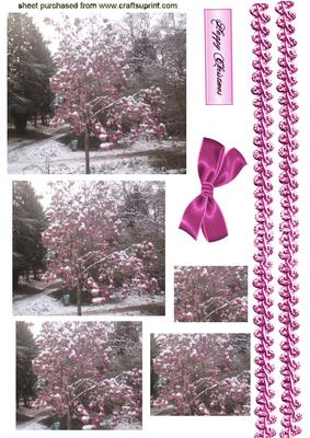 A Pretty Photograph of a Pink Tree with Snow, Pyramids
