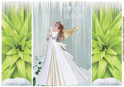 Beautiful Ice Maiden, Gatefold