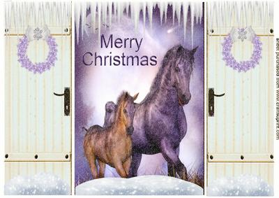 Beautiful Horse & Foal in the Snow Gatefold