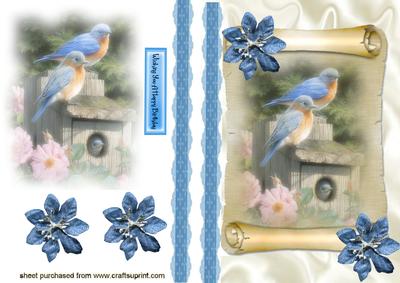 Little Birds in Mist, on a Scroll